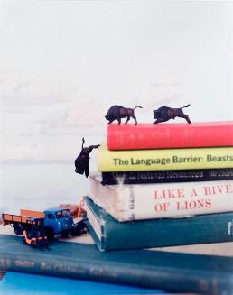 Untitled (buffalo, trucks and books)