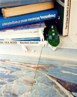 Untitled (books with polar bears and boat)