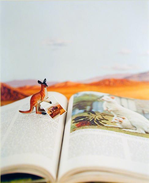 Untitled (open book with kangaro)