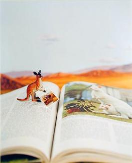 Untitled (open book with kangaro)