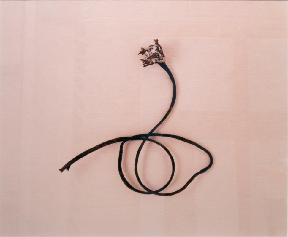 Rake (from the series:  Empathic Remainders)