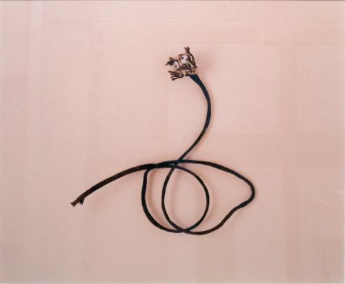 Rake (from the series:  Empathic Remainders)