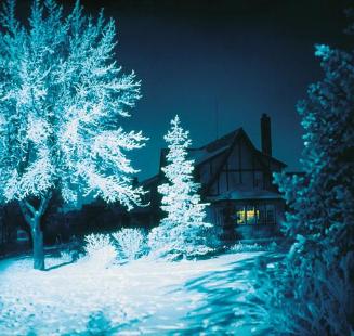 Winter’s Night