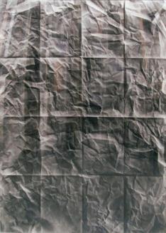 Untitled (Instant Criticism of Illusion)