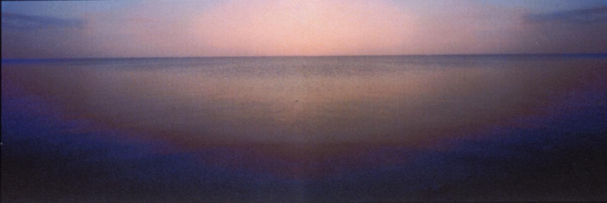 © Brenda Pelkey. Copyright Visual Arts-CARCC, 2021