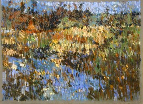 Channel: Reflected Reeds and Black Spruce
