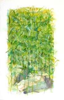Grasses