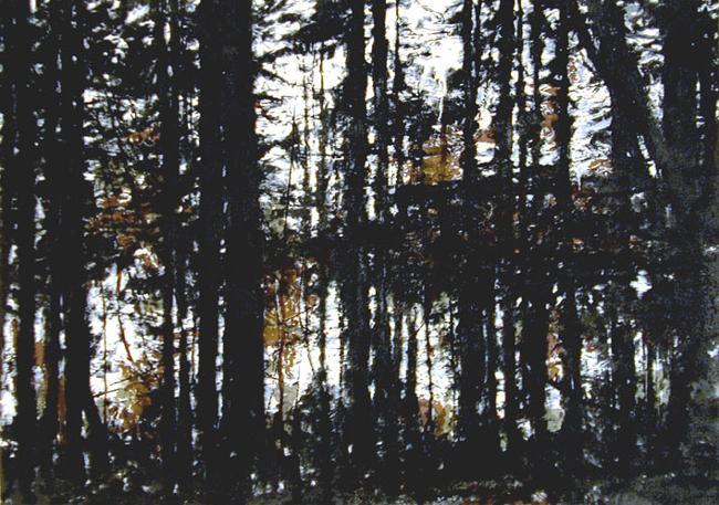 Pacific Rim Trees II