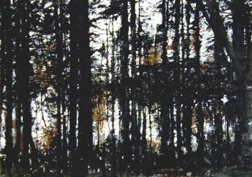 Pacific Rim Trees II