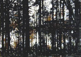 Pacific Rim Trees II