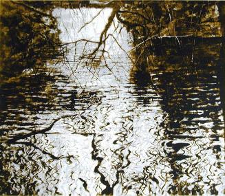 North Shore Pond