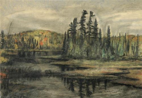 Beaver Swamp - ALGONQUIN
