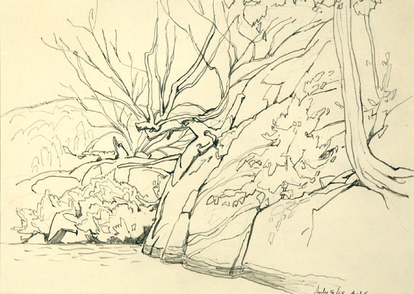 Untitled (trees)