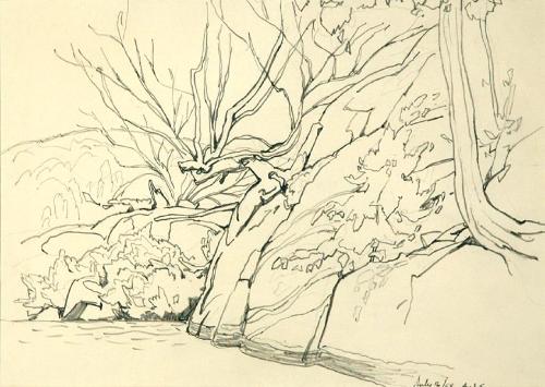 Untitled (trees)