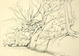 Untitled (trees)