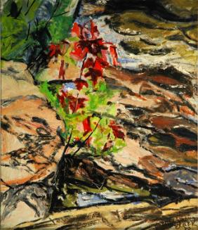 Untitled (trees and rocks)