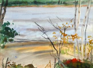 Beach - St. John River