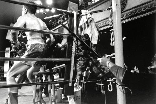 Boxing, blue Horizon, Philadephia #4-22