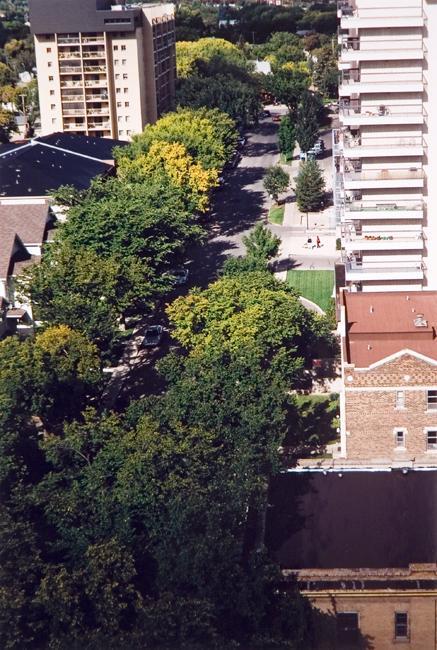 My World: 15th Floor, 430 5th Ave. N., 5th Ave. N. September 2004