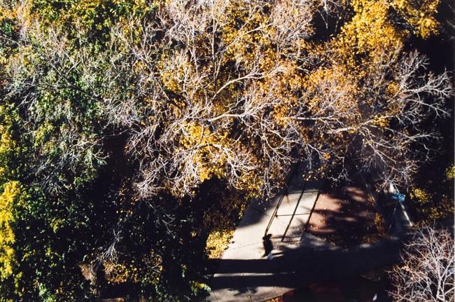 My World: 15th Floor, 430 5th Ave. N., September 2004
