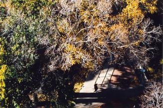 My World: 15th Floor, 430 5th Ave. N., September 2004