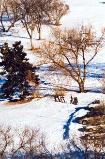 My World: 14th Floor, 430 5th Ave. N., Kinsmen Park, February 2004
