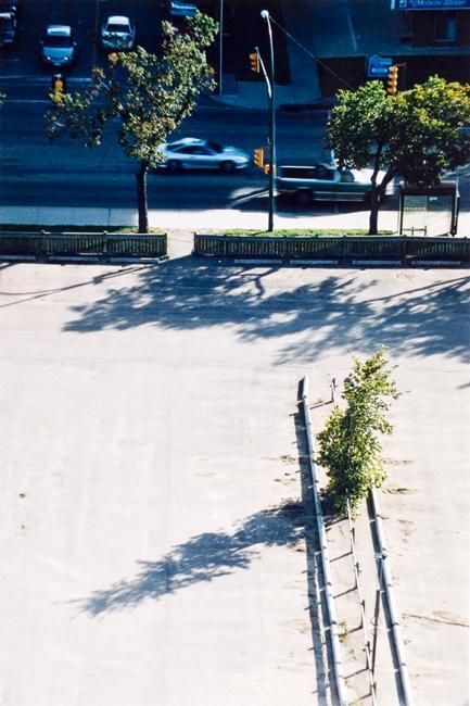 My World: 15th Floor, 430 5th Ave. N., Parking Lot Facing 25th Street, August 2004
