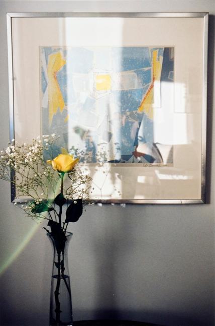 My World: 14th Floor, 430 5th Ave. N., 'Sun Dogs', by E. Bornstein, 7:15 am., April 30th 2003