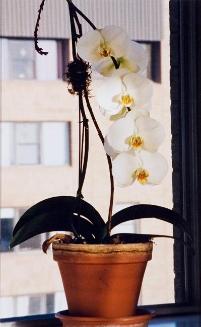 My World: 14th Floor, 430 5th Ave. N., April 2004