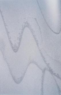 My World: 14th Floor, 430 5th Ave. N., Frosted Window - W. C. -41, January 2004