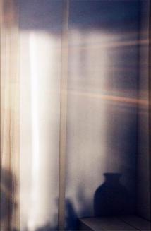 My World: Untitled (reflection of a vase)