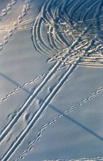 My World: 15th Floor, Roof - 430 5th Ave. N., Kinsmen Park, February 2004