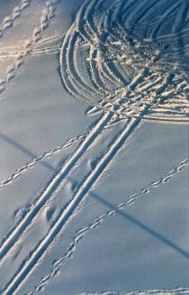 My World: 15th Floor, Roof - 430 5th Ave. N., Kinsmen Park, February 2004