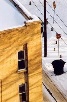 My World: 15th Floor, Roof, 430 5th Ave. N., Dwelling Nr. 444, February 2004