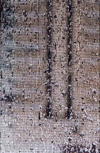 My World: Untitled (screen with water droplets)