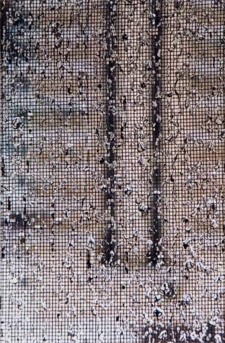My World: Untitled (screen with water droplets)