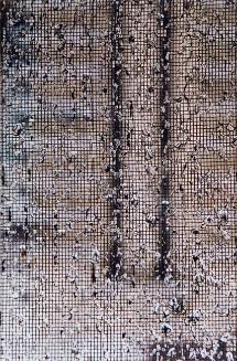 My World: Untitled (screen with water droplets)