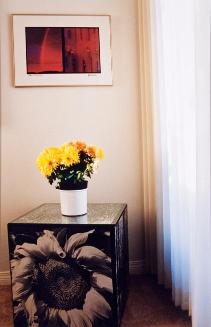 My World:14th Floor, 430 5th Ave. N., May 2004
