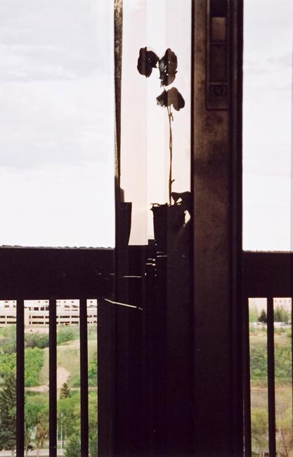 My World: 14th Floor, 430 5th Ave. N., May 2005