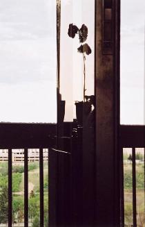 My World: 14th Floor, 430 5th Ave. N., May 2005
