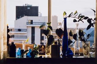 My World: Untitled (bottles and plants on window sill)