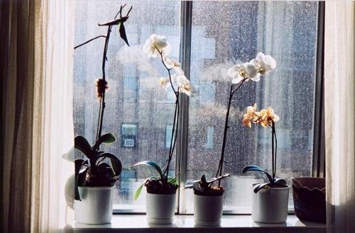 My World: 14th Floor, 430 5th Ave. N., May 2005