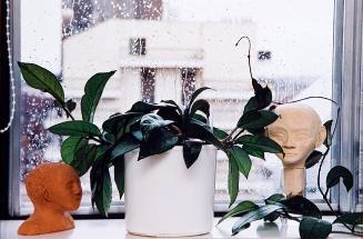 My World: 14th Floor, 430 5th Ave. N., April 2003