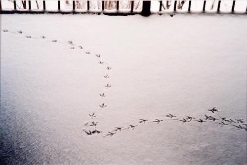 My World: 14th Floor, 430 5th Ave. N., Balcony, February 2004