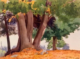 Untitled (trees)