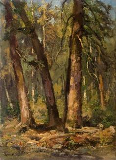 Untitled (forest)