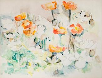 Untitled (poppies)