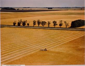 SK: Saskatoon Area - Swather Makes Orderly Pattern in Wheat Field