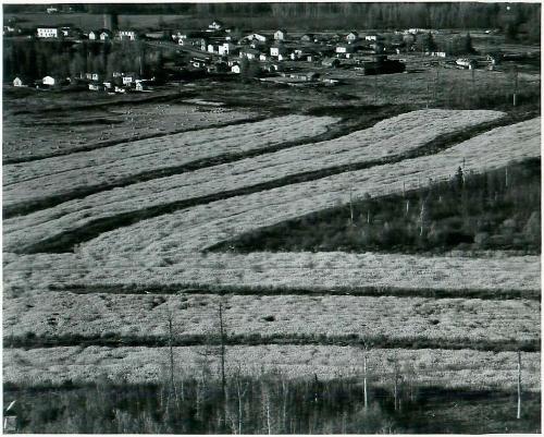 SK: Prairie River - Tiny Settlement Between Tisdale and Hudson Bay (Village), Newly Broken Farmland