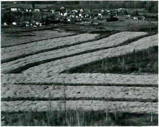SK: Prairie River - Tiny Settlement Between Tisdale and Hudson Bay (Village), Newly Broken Farmland